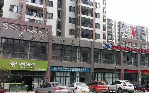 星空电子华中地区案例：武汉市左岭新城